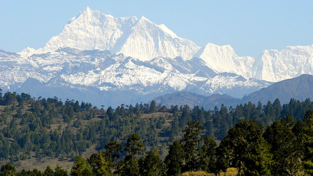 🌱  Pure Bhutan, a Founder's Note