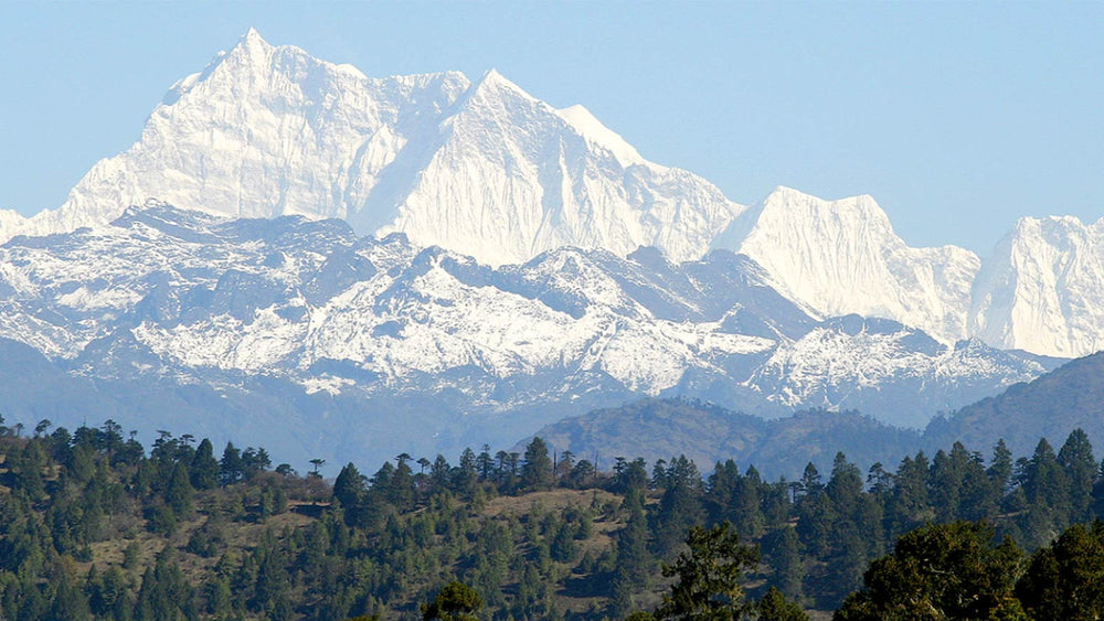 Purity of the Kingdom of Bhutan